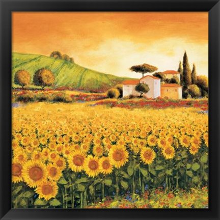 Framed Valley Of Sunflowers Print