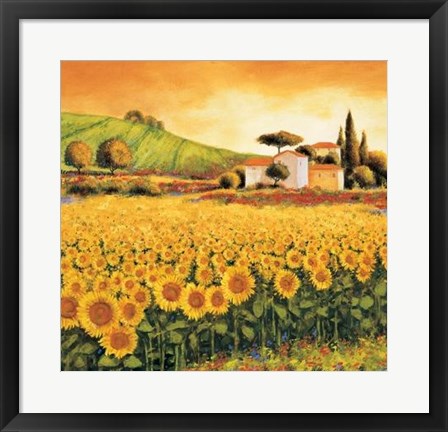 Framed Valley Of Sunflowers Print