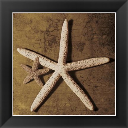 Framed Starfish Print