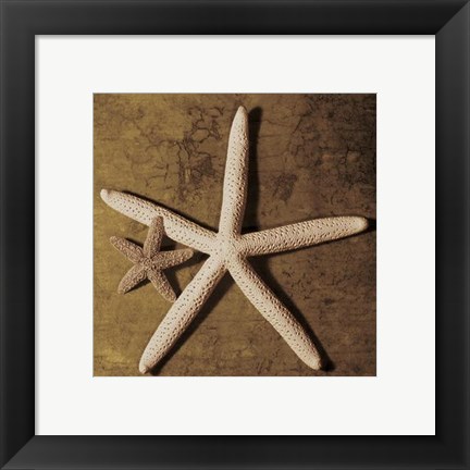 Framed Starfish Print