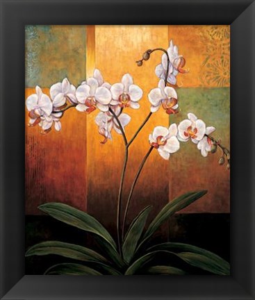 Framed Orchids Print