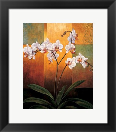 Framed Orchids Print