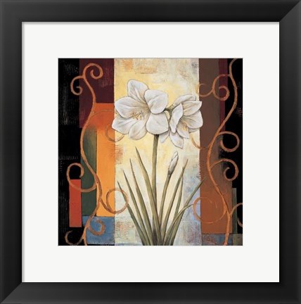 Framed Amaryllis Print