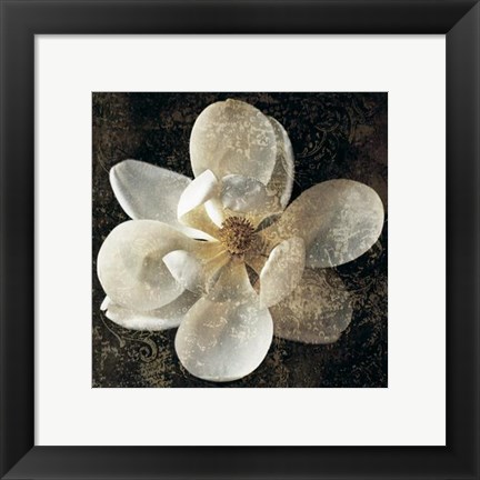 Framed Magnolia I Print