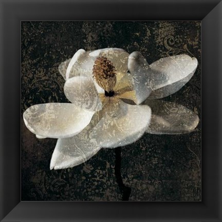 Framed Magnolia II Print