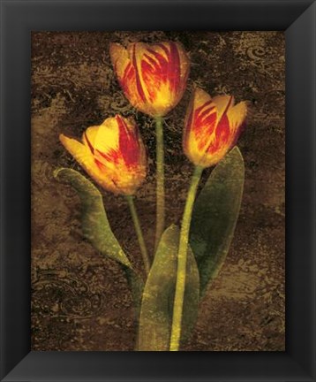 Framed Three Tulips Print