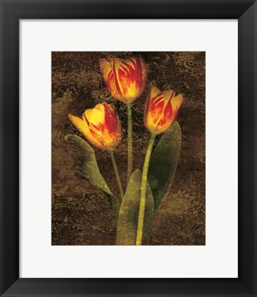 Framed Three Tulips Print