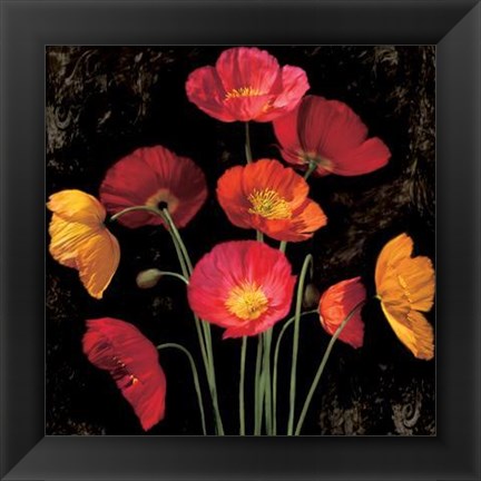 Framed Poppy Bouquet I Print