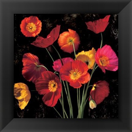 Framed Poppy Bouquet II Print