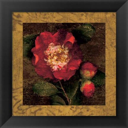 Framed Red Camellias I Print