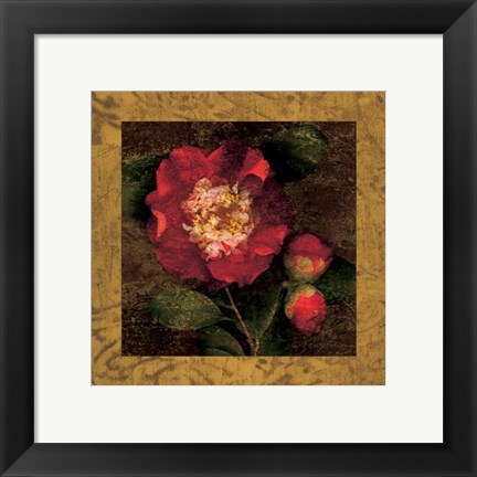 Framed Red Camellias I Print