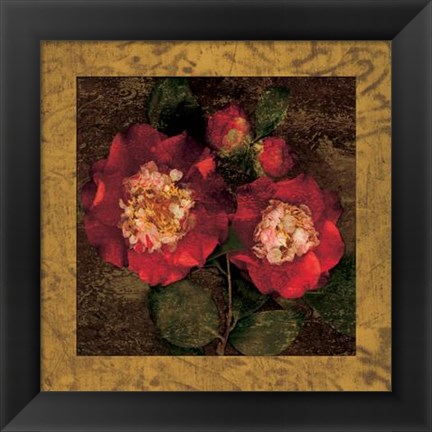 Framed Red Camellias II Print