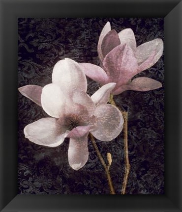 Framed Pink Magnolias I Print