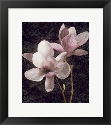 Framed Pink Magnolias I Print