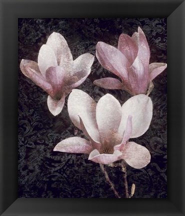 Framed Pink Magnolias II Print