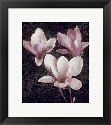 Framed Pink Magnolias II Print