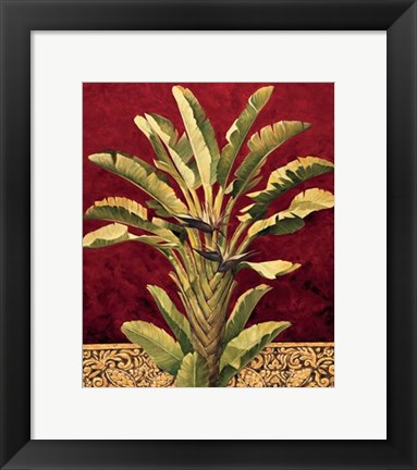 Framed Traveler&#39;s Palm Print