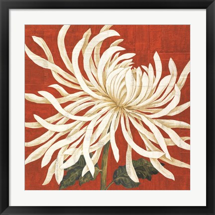 Framed Spider Mum I Print