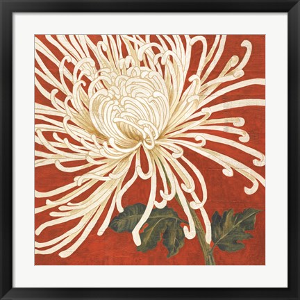 Framed Spider Mum II Print