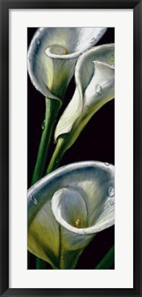 Framed Dewdrop Callas Print