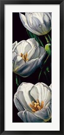 Framed Dewdrop Tulips Print