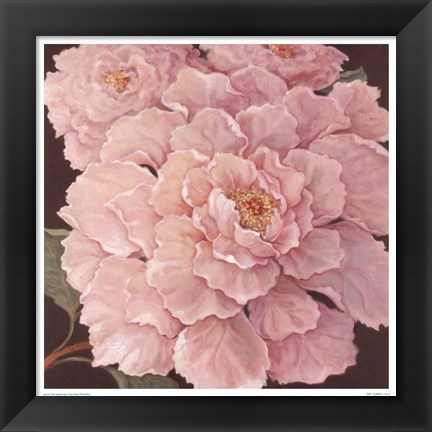 Framed Fuschia Peonies Print