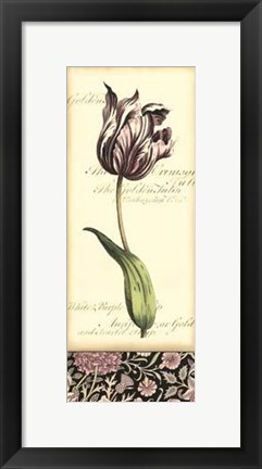 Framed Baroque Tulip In Pink I Print