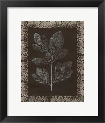 Framed Forest Finery II Print