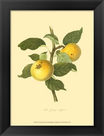 Framed Grange Apple Print