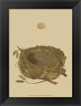 Framed Antique Nest Egg I Print