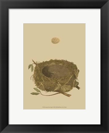 Framed Antique Nest Egg I Print