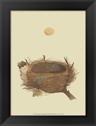 Framed Antique Nest Egg II Print