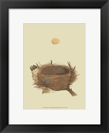 Framed Antique Nest Egg II Print