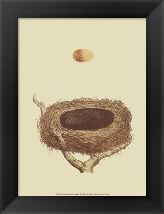 Framed Antique Nest Egg III Print