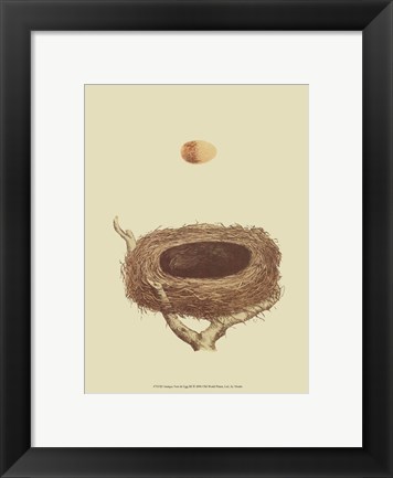 Framed Antique Nest Egg III Print