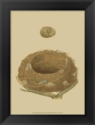 Framed Antique Nest Egg IV Print