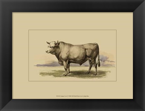 Framed Antique Cow I Print