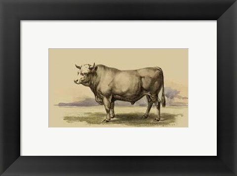 Framed Antique Cow I Print