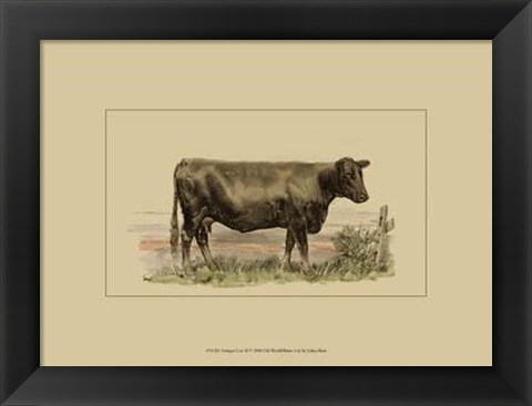 Framed Antique Cow II Print