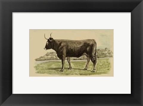 Framed Antique Cow III Print