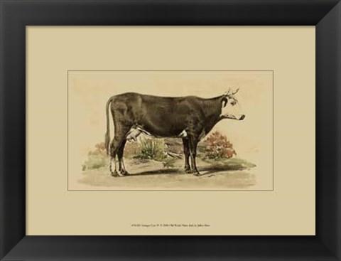 Framed Antique Cow IV Print