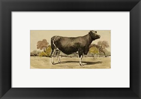 Framed Antique Cow VI Print