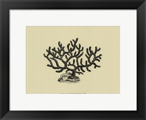 Framed Coral On Khaki III Print