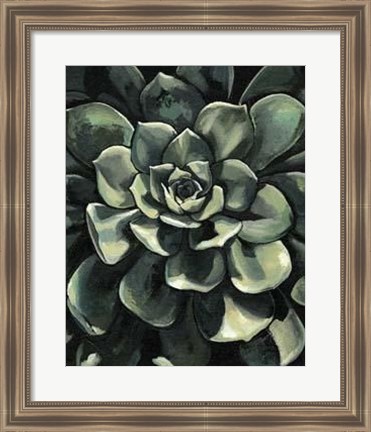 Framed Lunar Succulent I Print