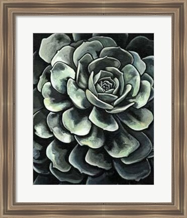 Framed Lunar Succulent II Print