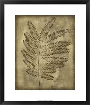 Framed Sepia Drenched Fern II Print