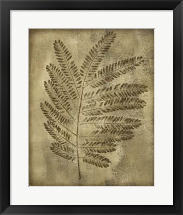 Framed Sepia Drenched Fern II Print