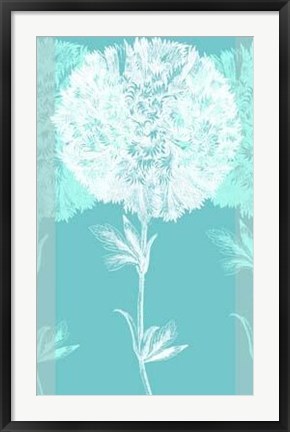 Framed Efflorescence II Print