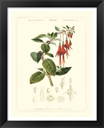 Framed Lush Tropical IV Print