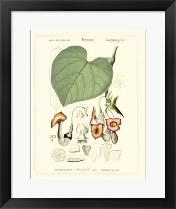 Framed Lush Tropical V Print